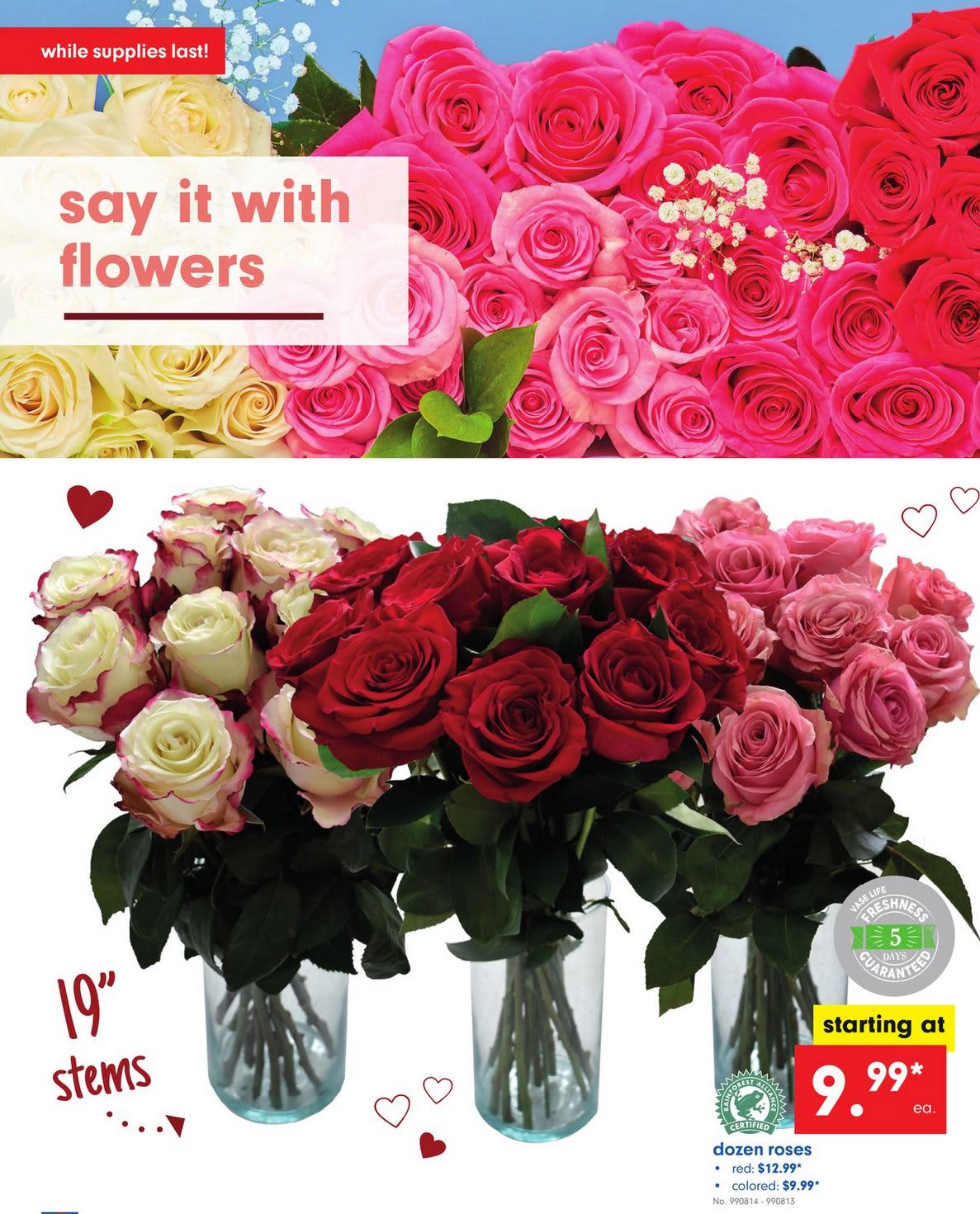 Whole Foods Best Flower Deals Lidl Aldi Valentine's Day Apartment Therapy