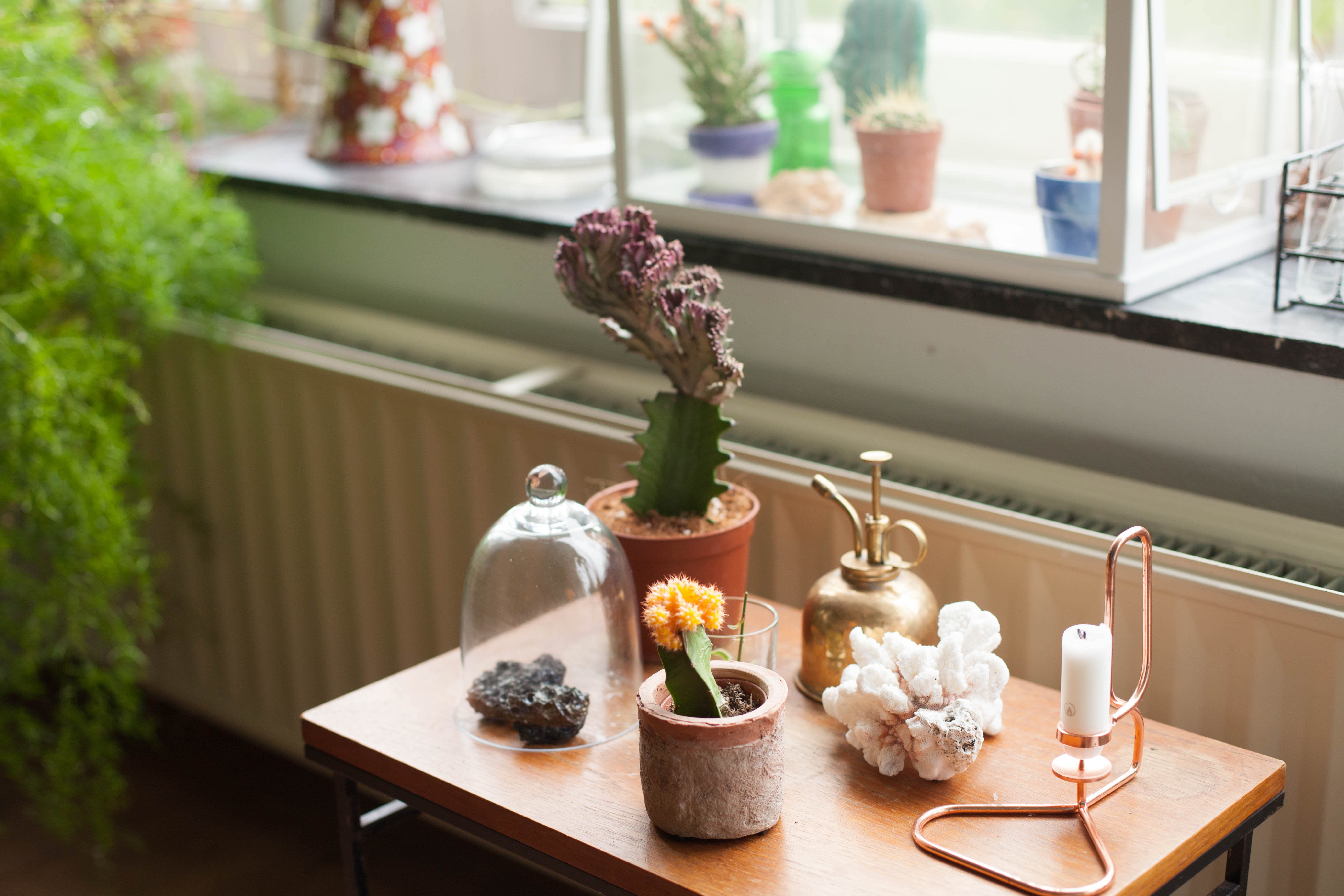 House Tour: A Bright Amsterdam Apartment | Apartment Therapy