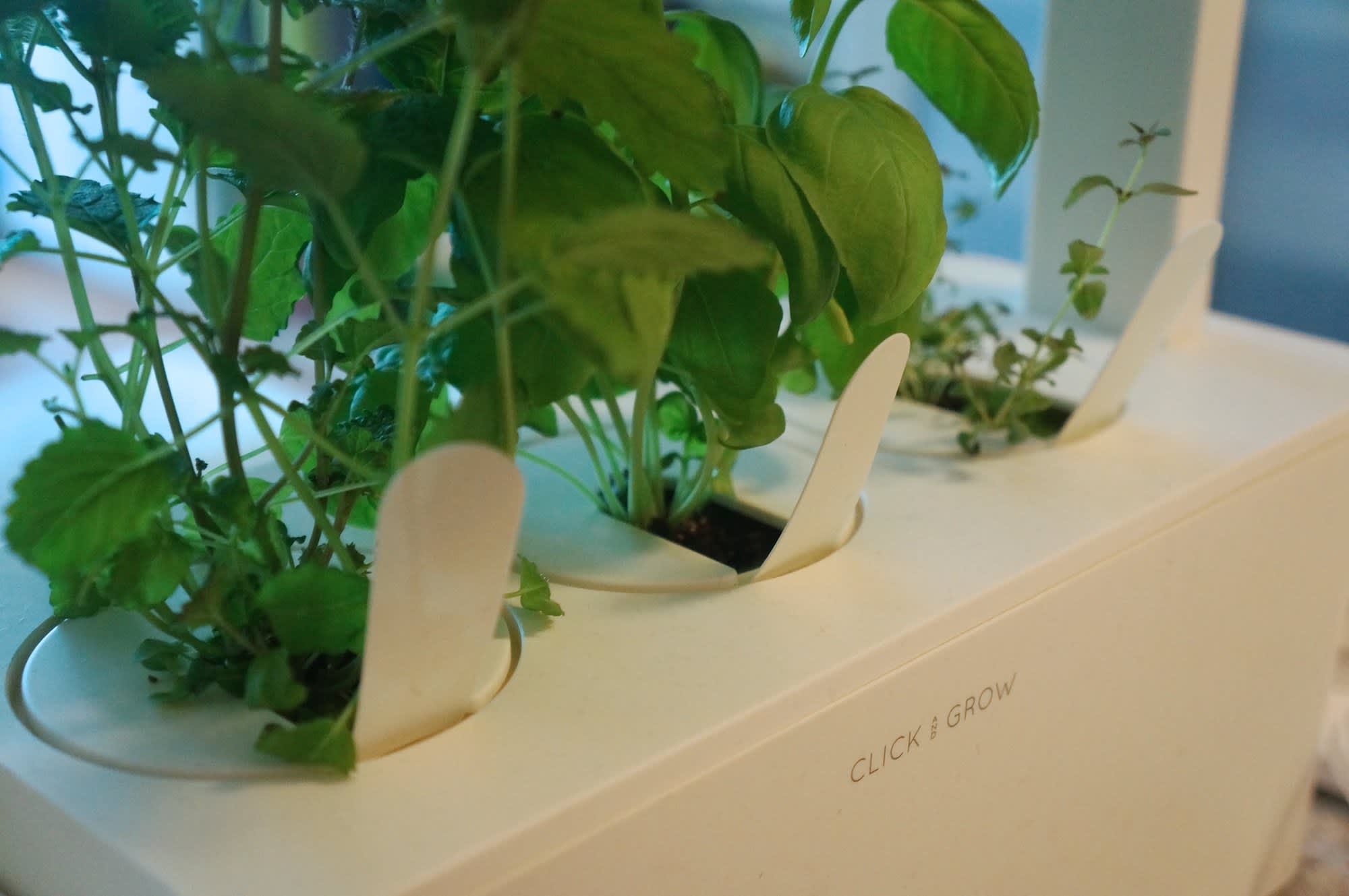 Click and Grow Smart Herb Garden Apartment Therapy