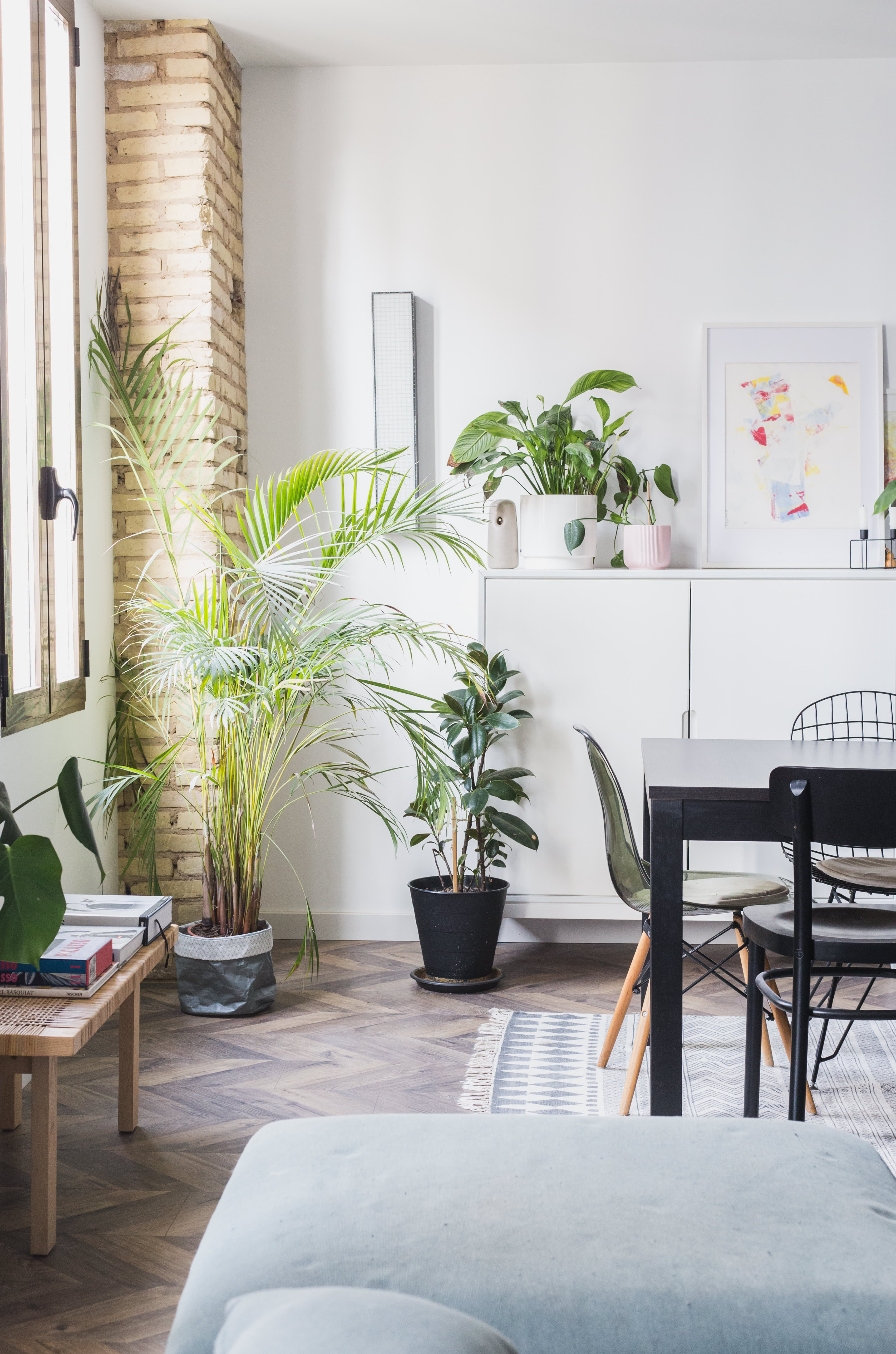 Small Apartment Spanish: A Guide to Living in a Tiny Space