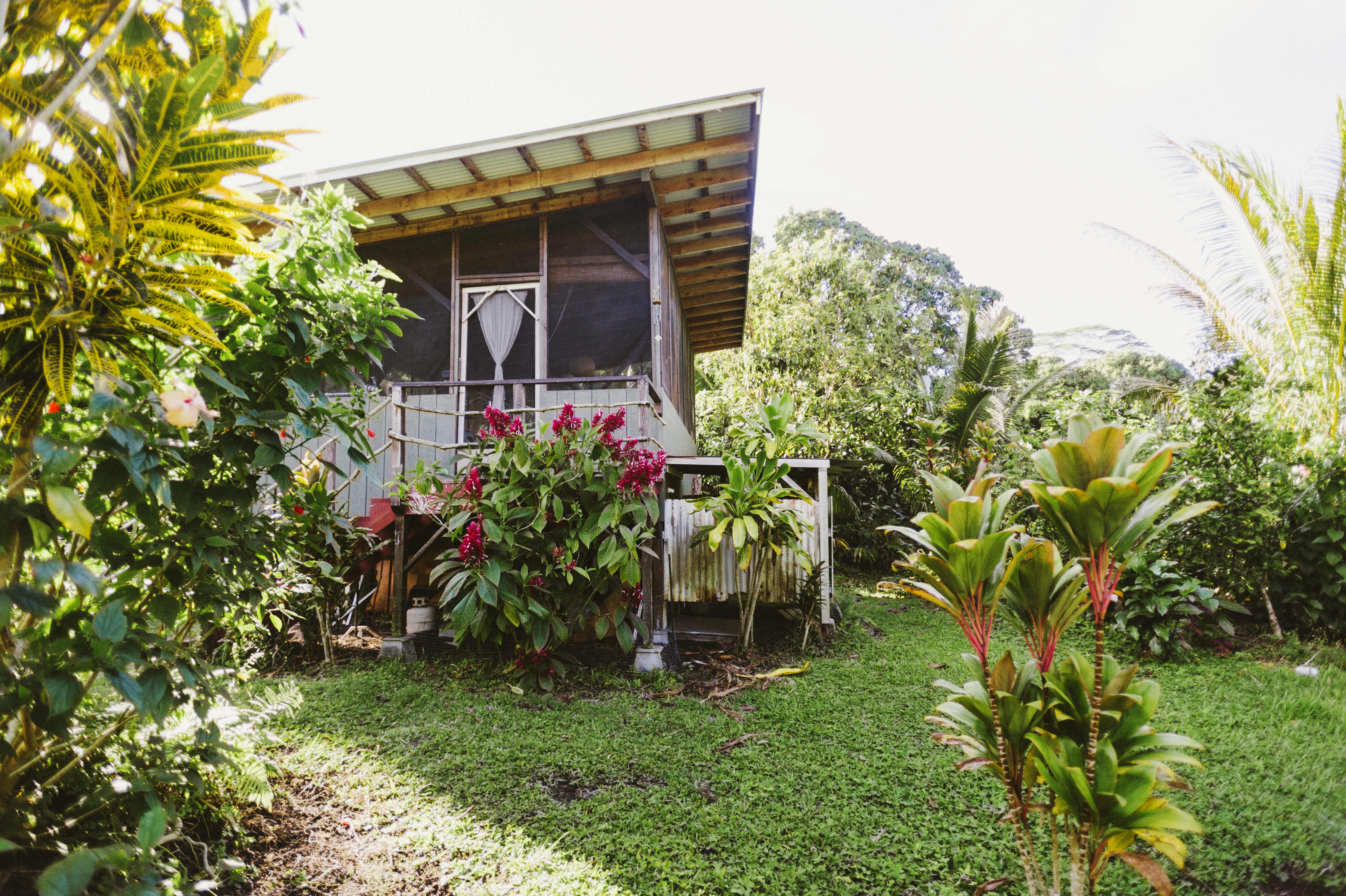 Off Grid Home - Living Off the Grid: Free Yourself