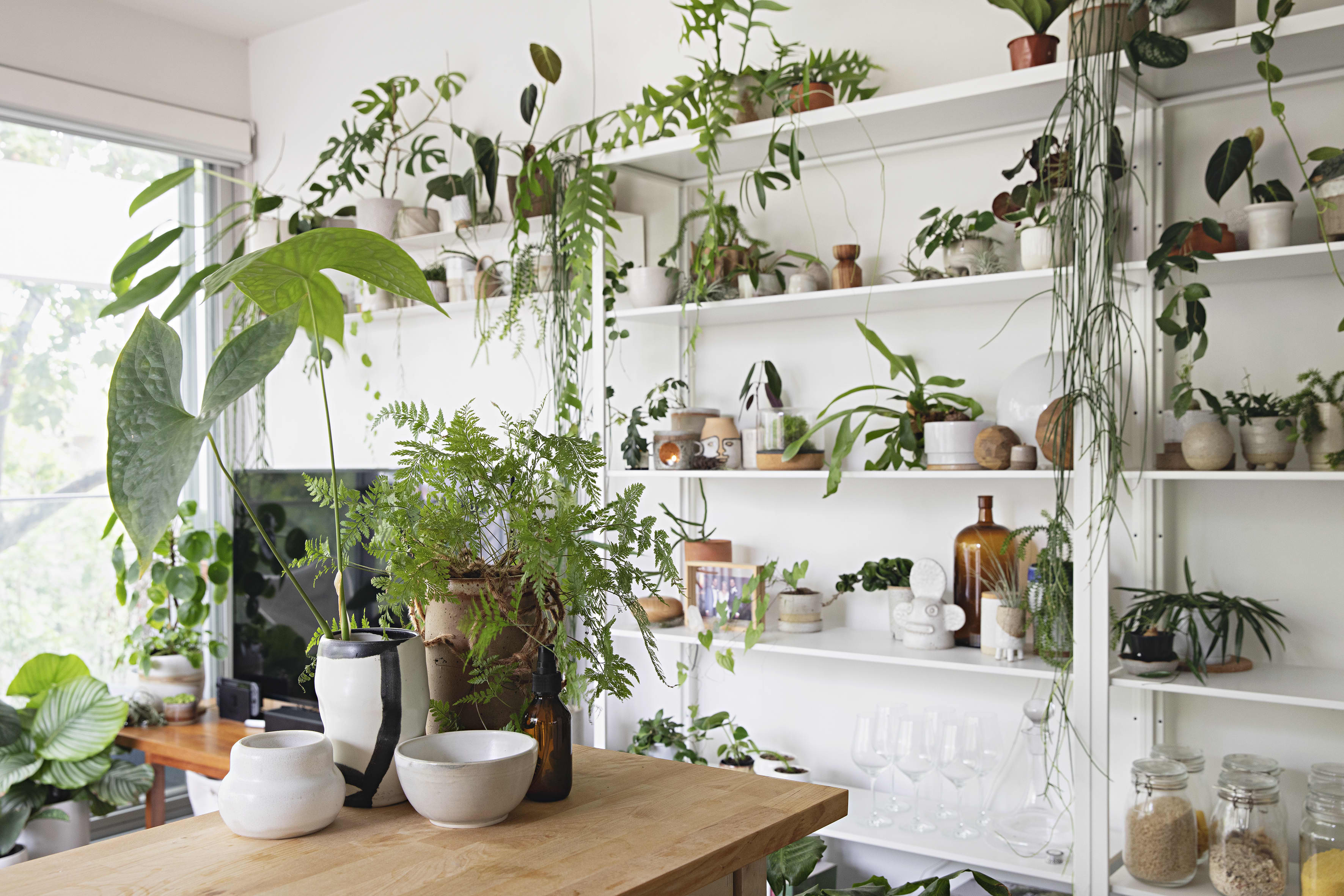 Plant Filled White Melbourne Apartment | Apartment Therapy
