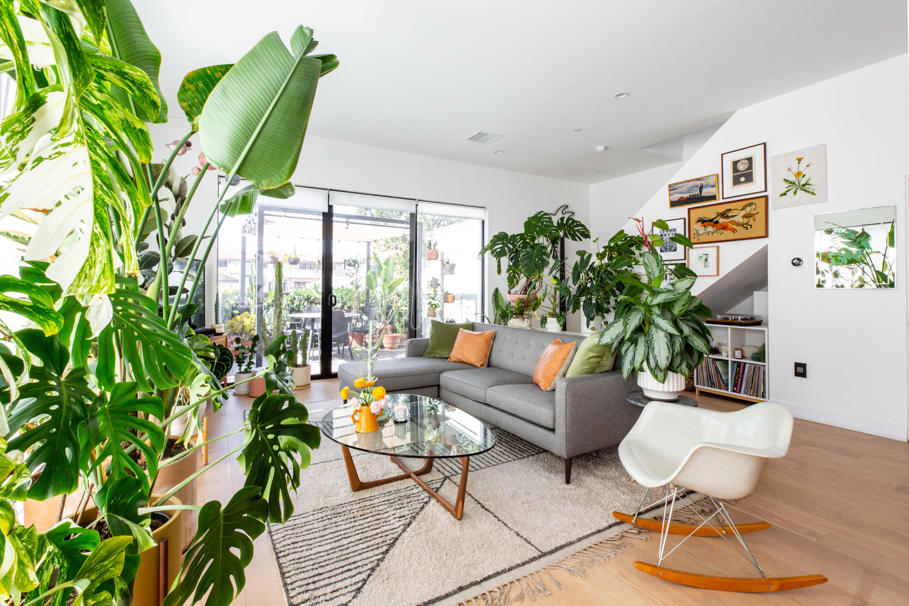 Small Apartment Jungle: Transform Your Home into a Green Oasis