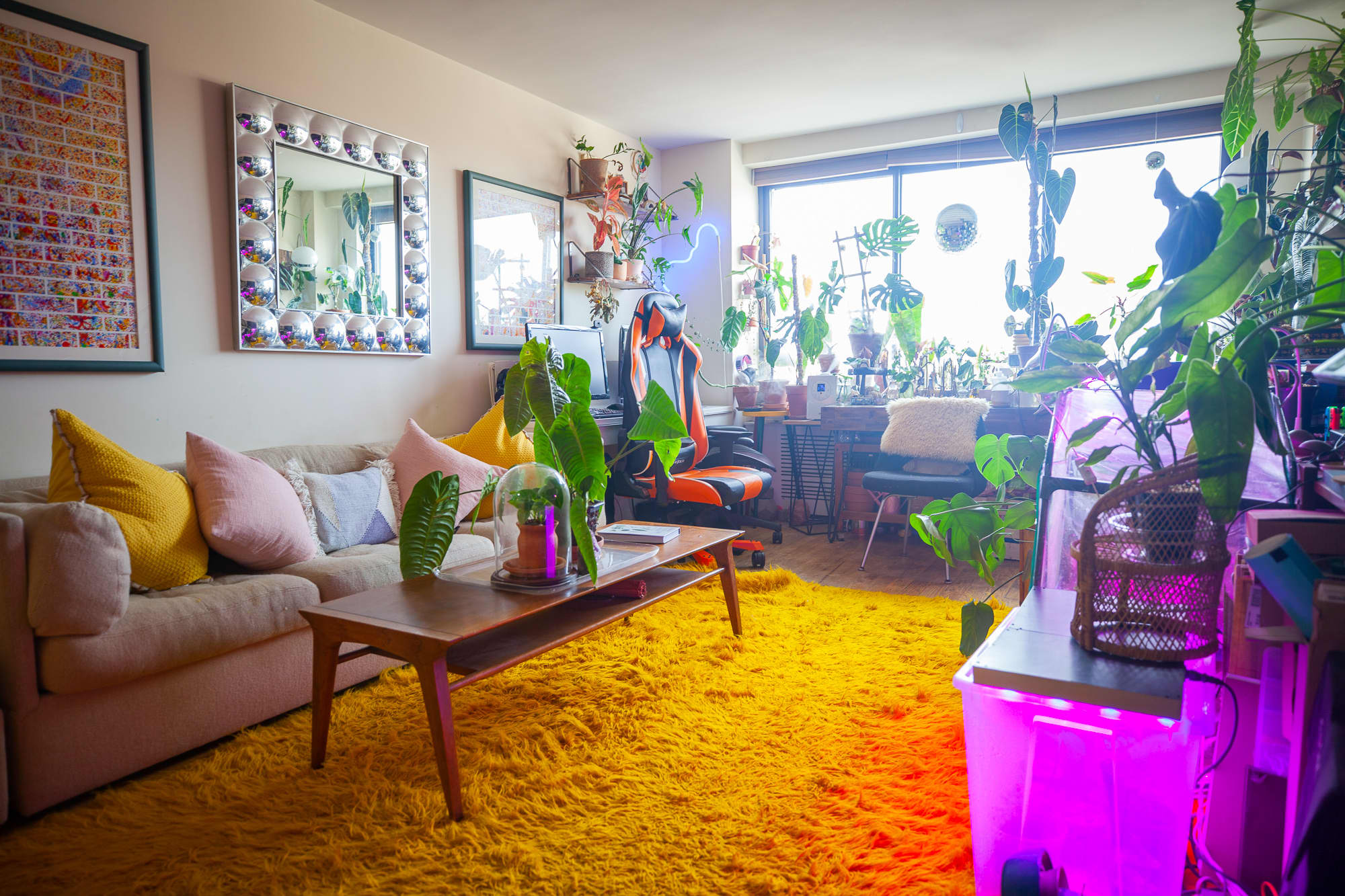 Apartment Botanist Alessia Resta Plants and Home Photos | Apartment Therapy