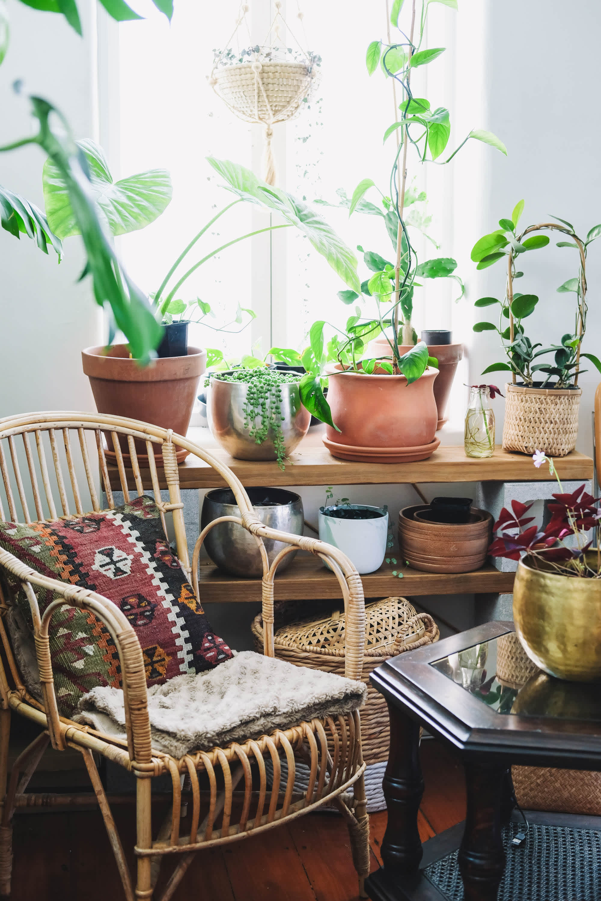 Plant-Filled New Zealand Vintage Loft Home Tour | Apartment Therapy