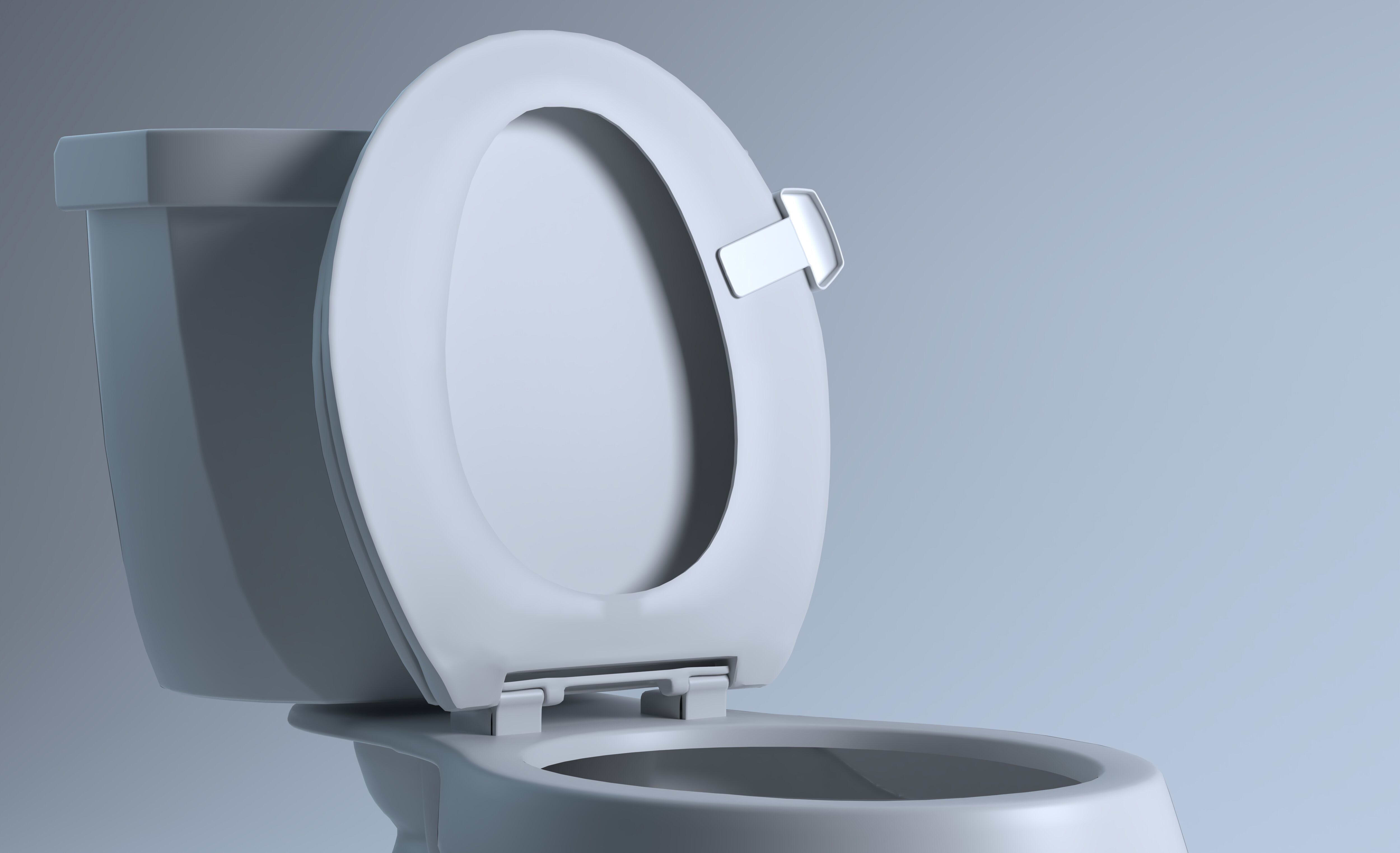 Toilet Seat Handle Lifty Loo Kickstarter Apartment Therapy