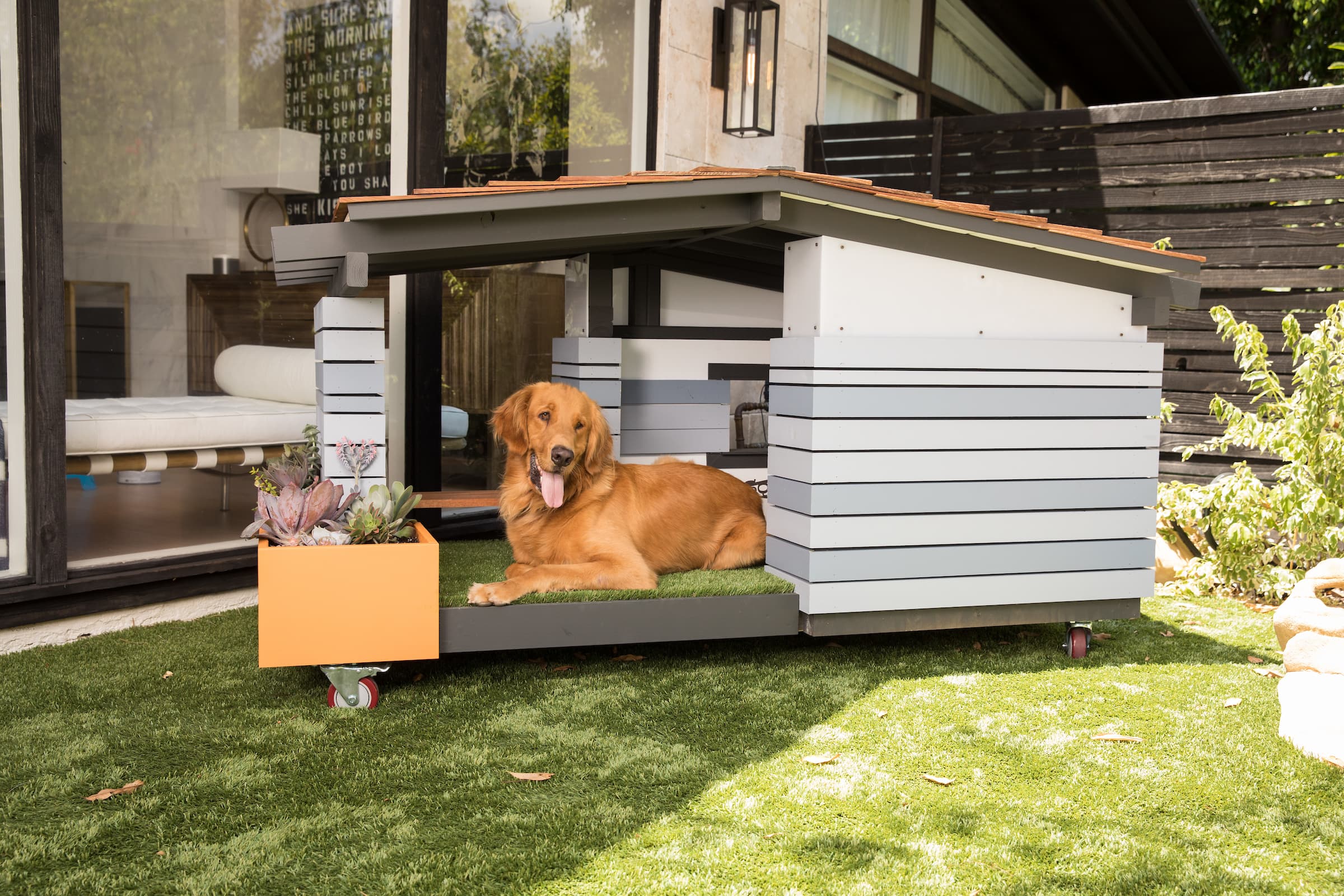 Dog House Luxury Design Retreats | Apartment Therapy