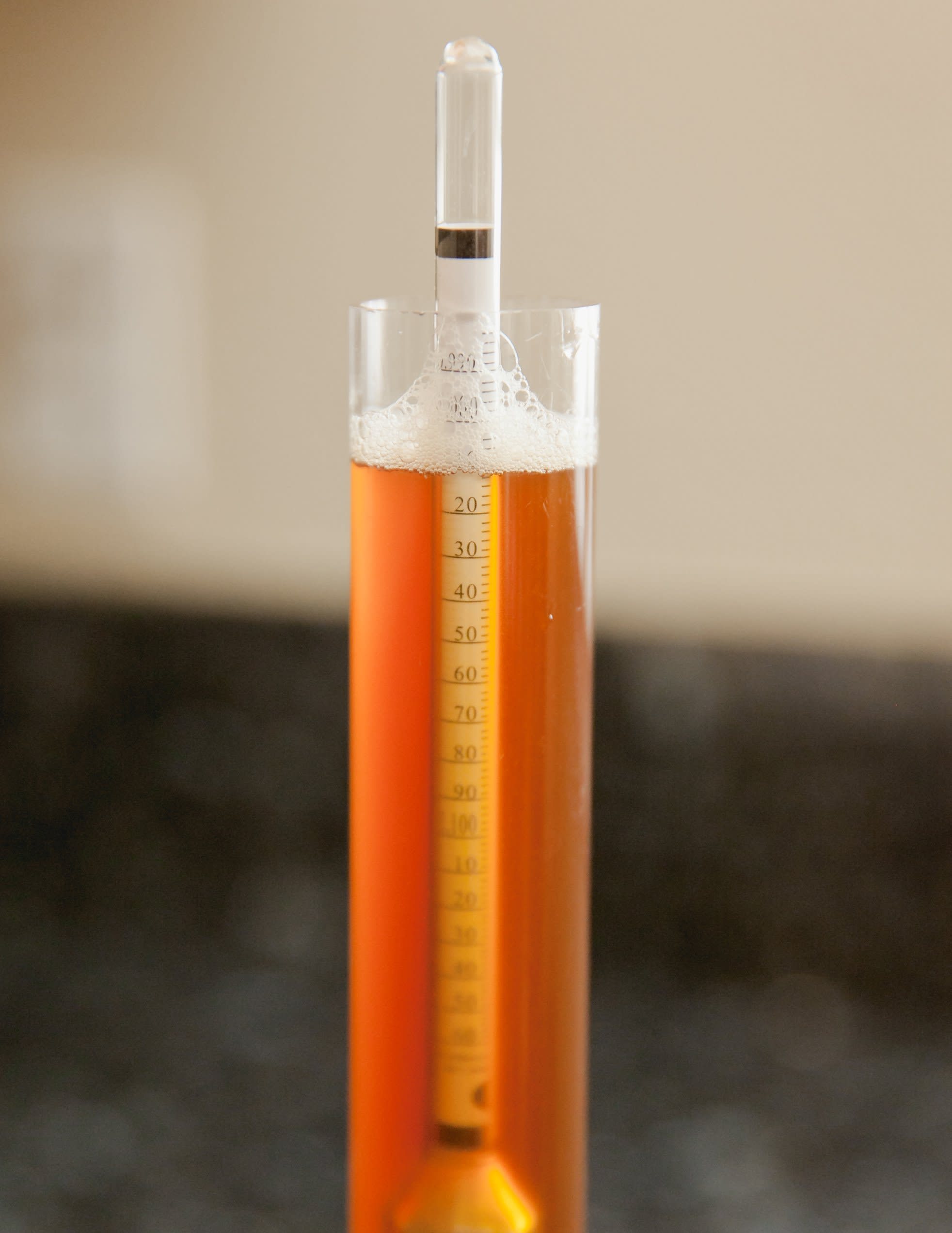 gekruld ritme Koopje How to Check How Much Alcohol Is in Your Homebrew | Kitchn