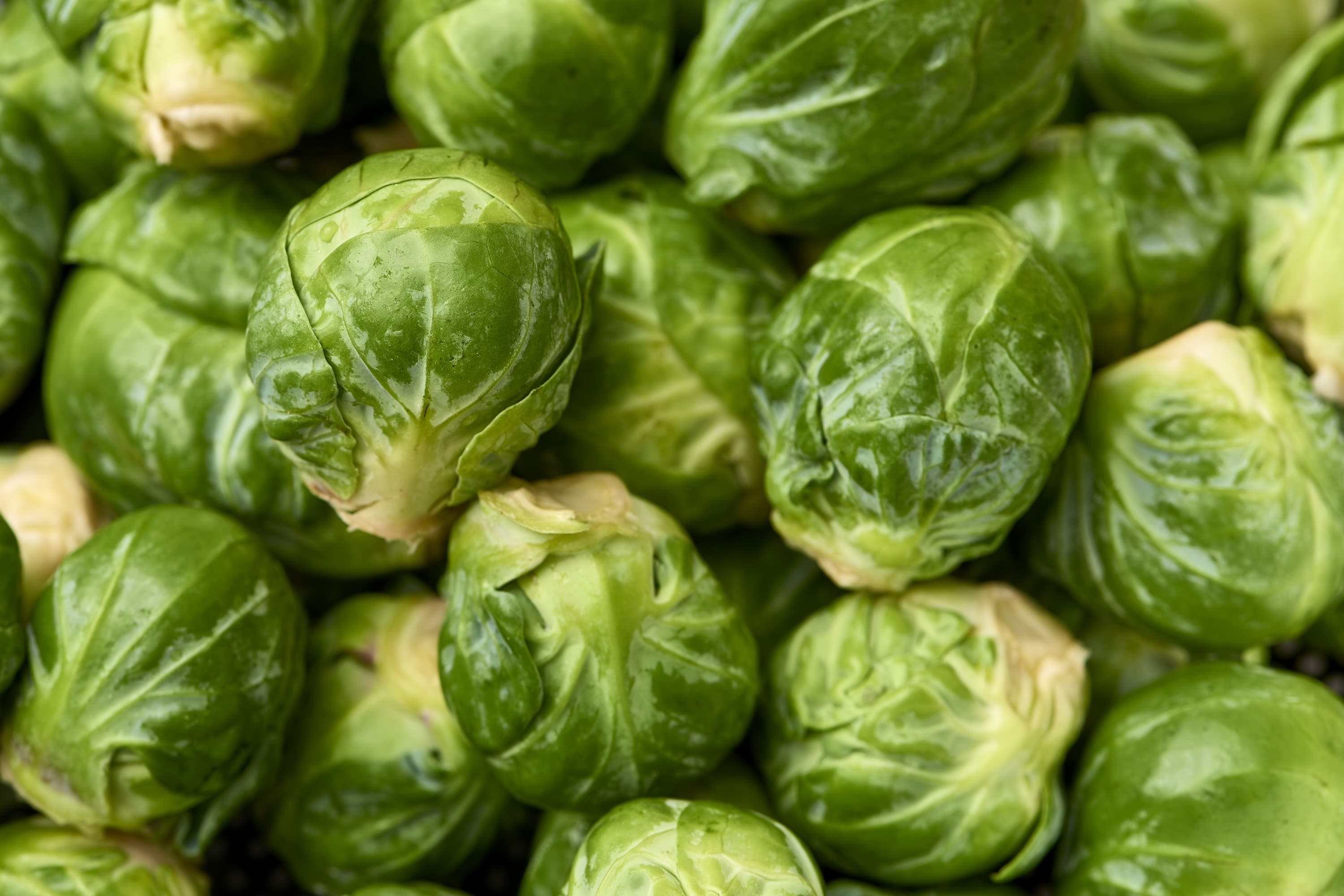 How To Prep & Store Brussels Sprouts | Kitchn