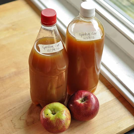 How To Make Sparkling Cider With Just 2 Ingredients Kitchn