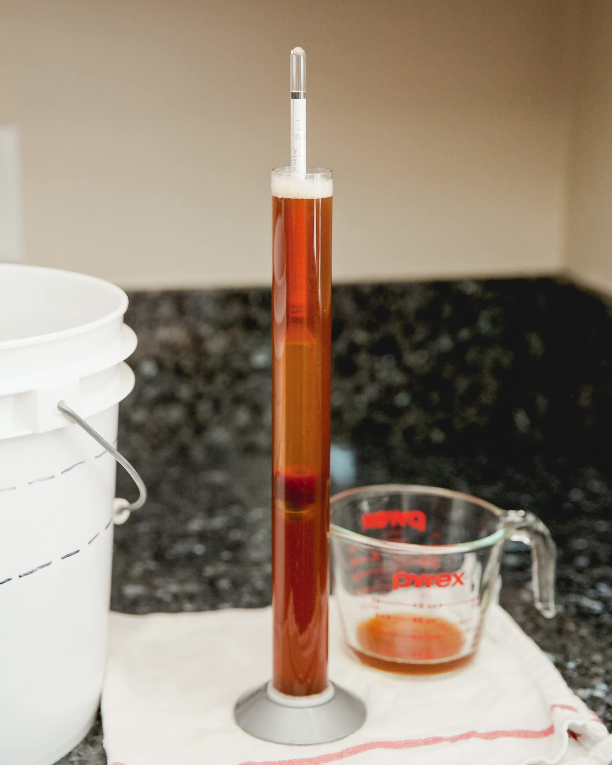 How To Check How Much Alcohol Is In Your Homebrew Kitchn