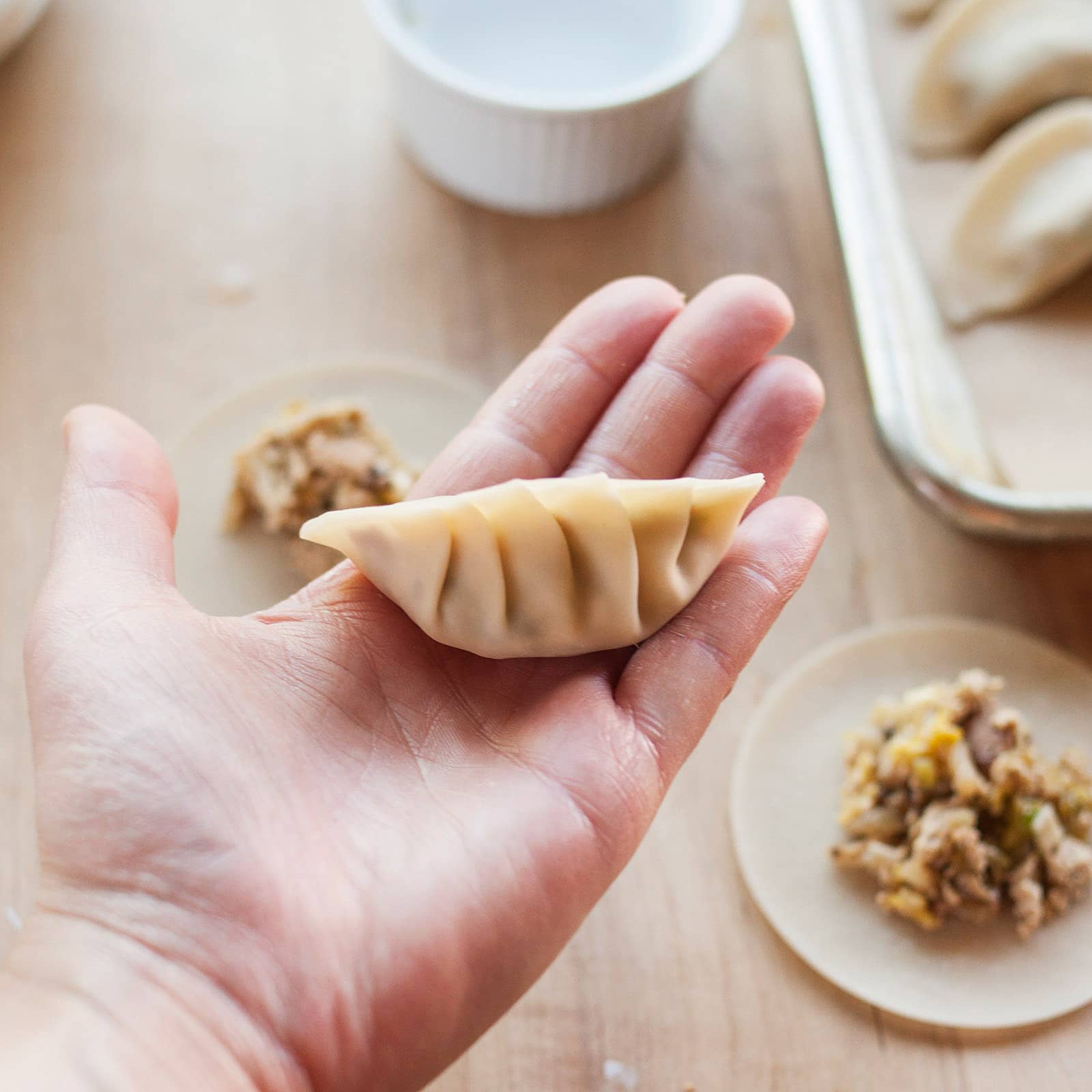 How to Make Homemade Asian Dumplings from Scratch Kitchn