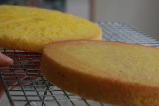 Recipe: Duck Egg Sponge Cake with Cream & Strawberries | Kitchn
