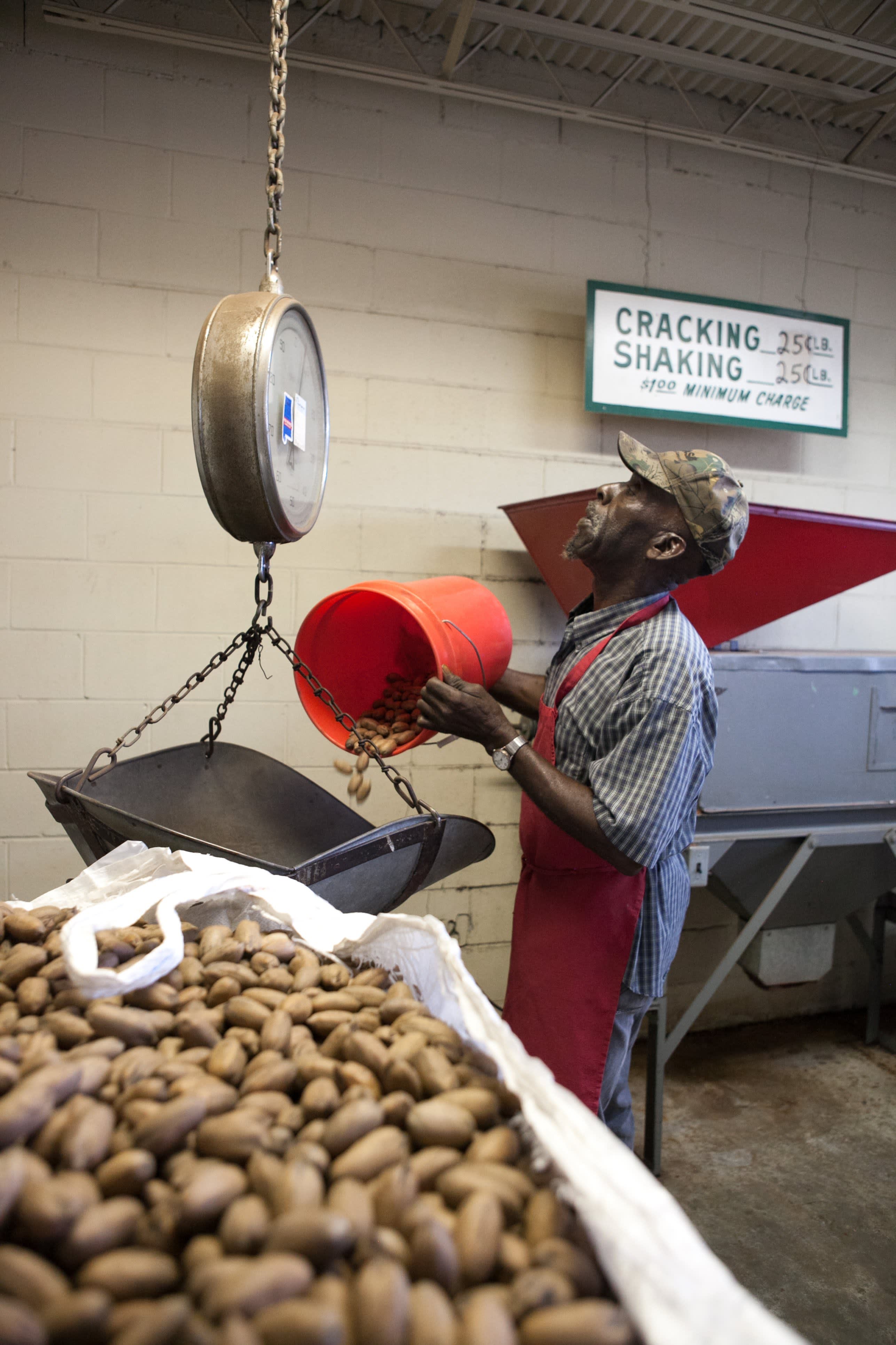 Why Tucker Pecan Still Buys “Backyard Pecans” Kitchn