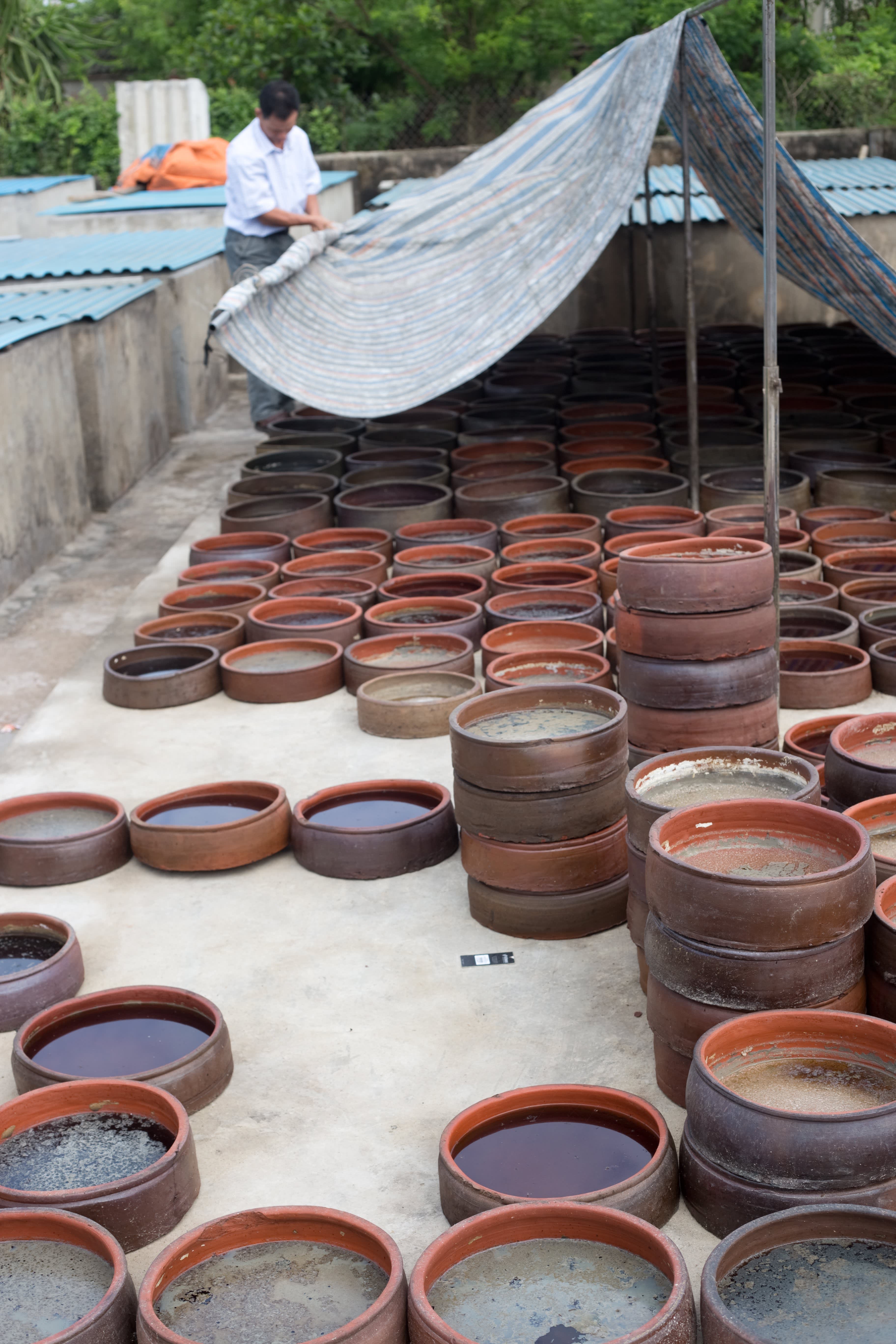 How Fish Sauce Is Made A Visit With a Fish Sauce Maker in Sa Chau