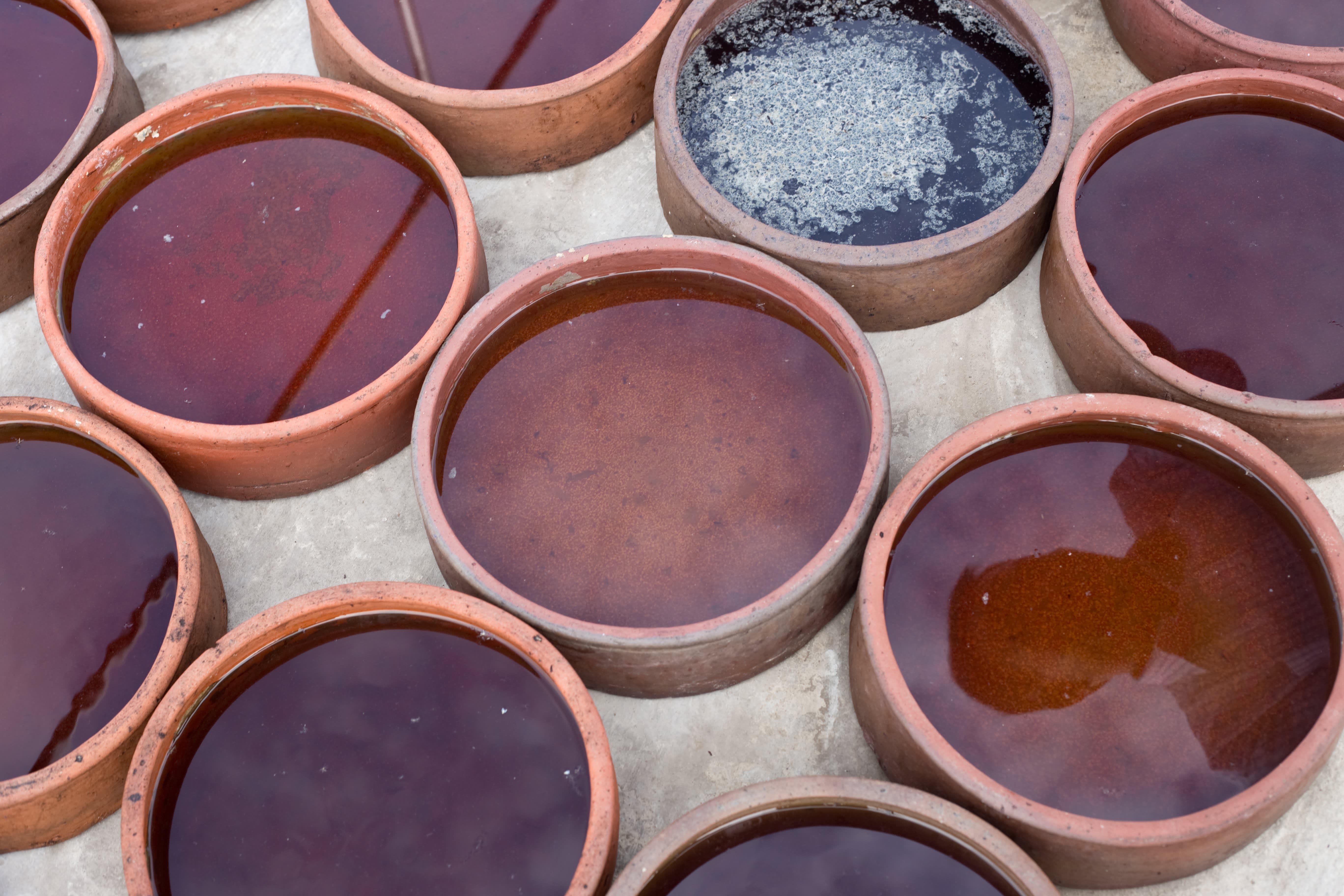 How Fish Sauce Is Made A Visit With a Fish Sauce Maker in Sa Chau