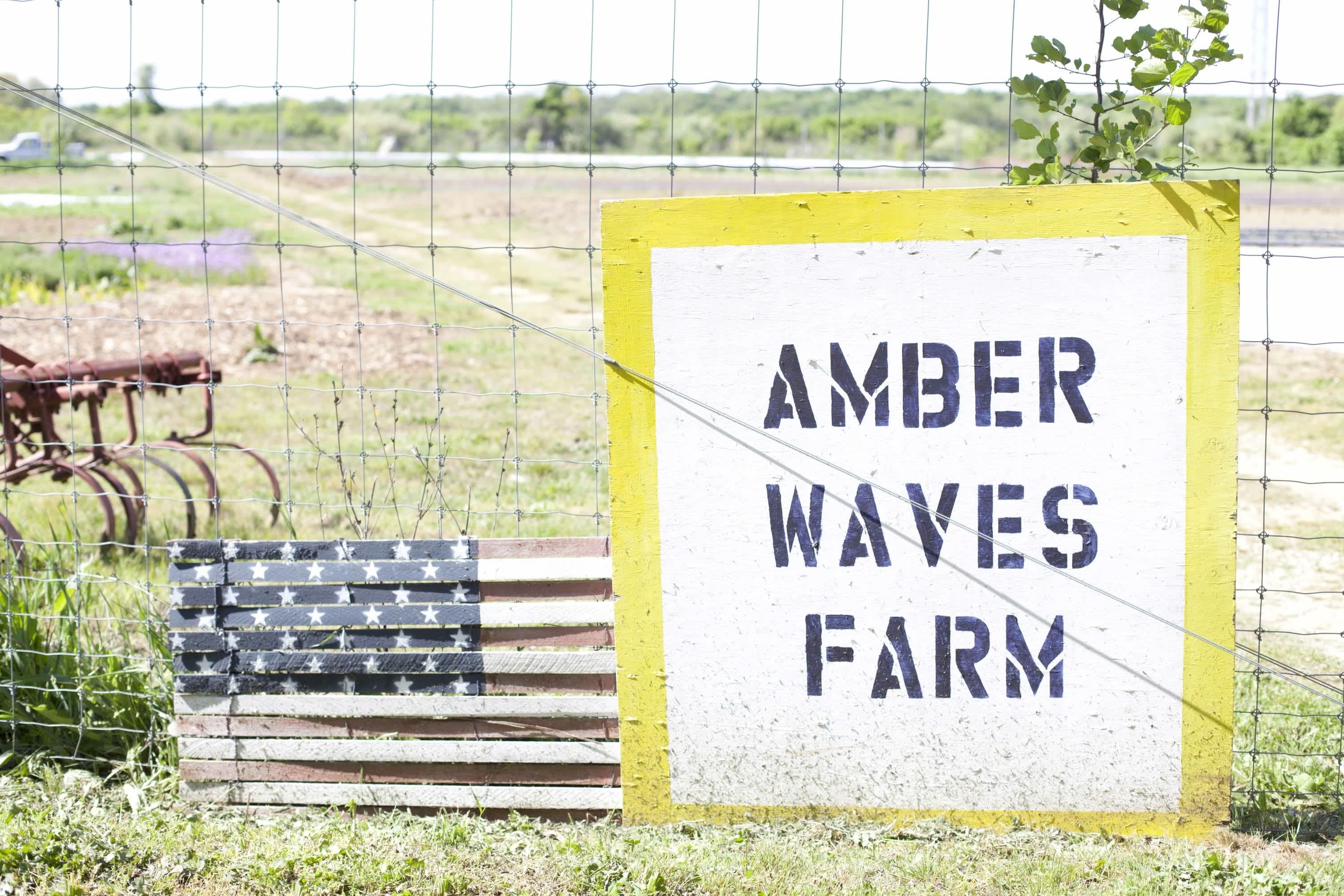 Get to Know Your Farmers: Katie Baldwin & Amanda Merrow of Amber Waves ...