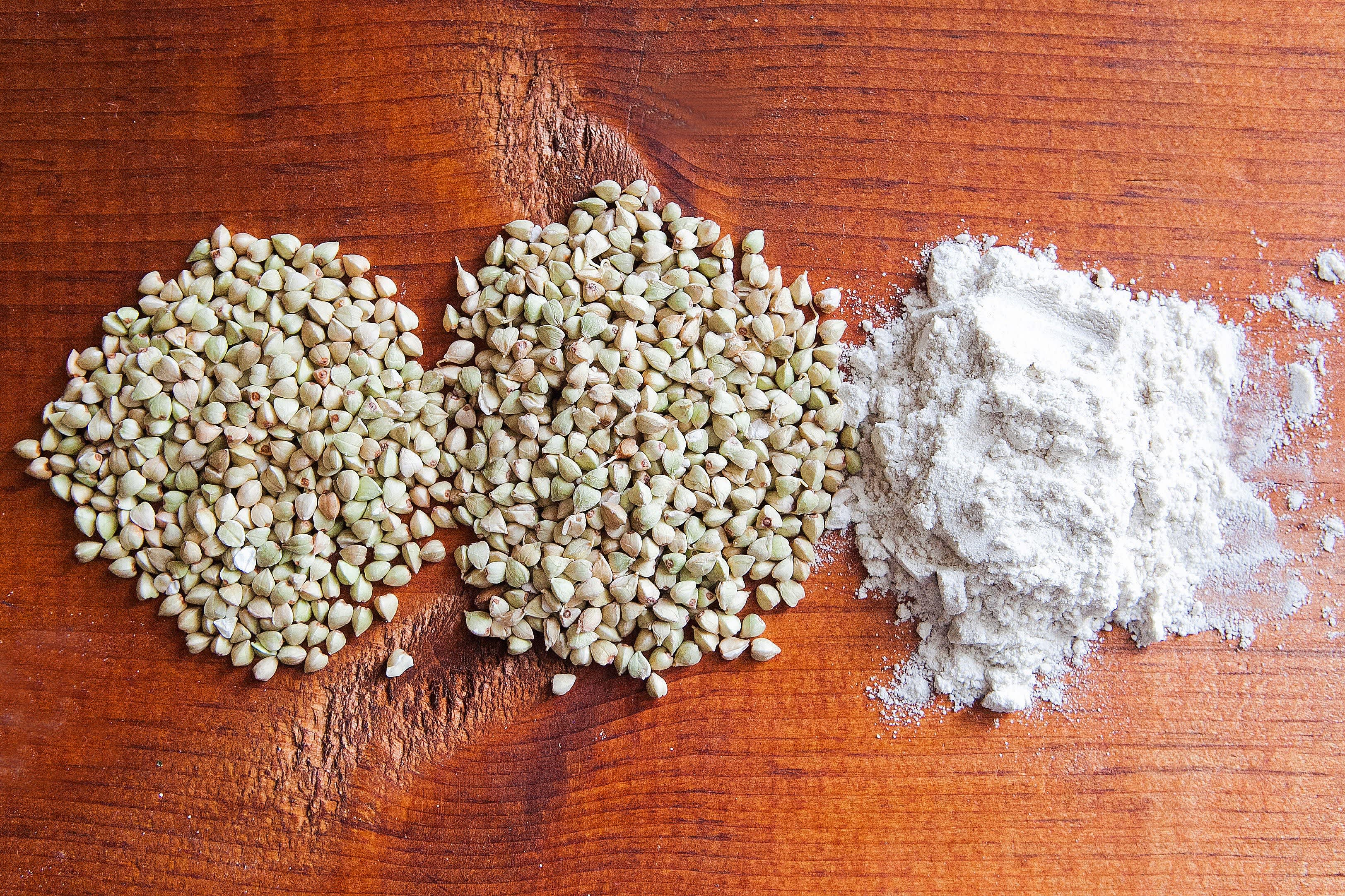 how-sprouted-flour-is-made-a-tour-of-to-your-health-s-sprouted-flour