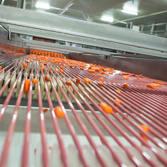 How Baby Carrots Are Made A Tour Behind the Scenes of a Baby Carrot