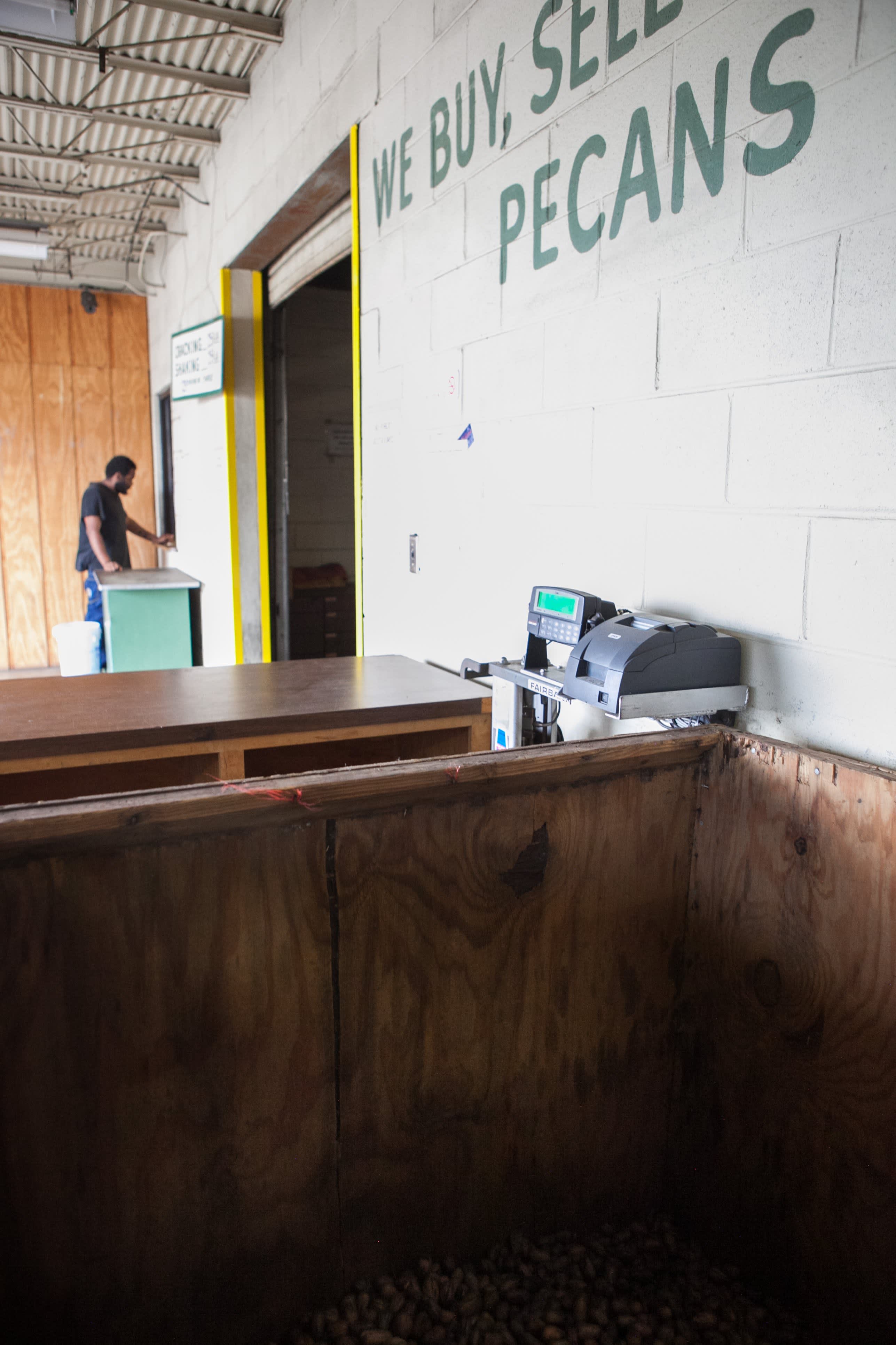 Why Tucker Pecan Still Buys “Backyard Pecans” Kitchn