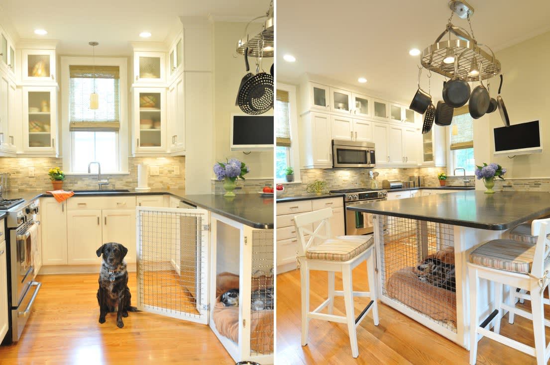 8 Genius Solutions for Your Pets in the Kitchen | Kitchn