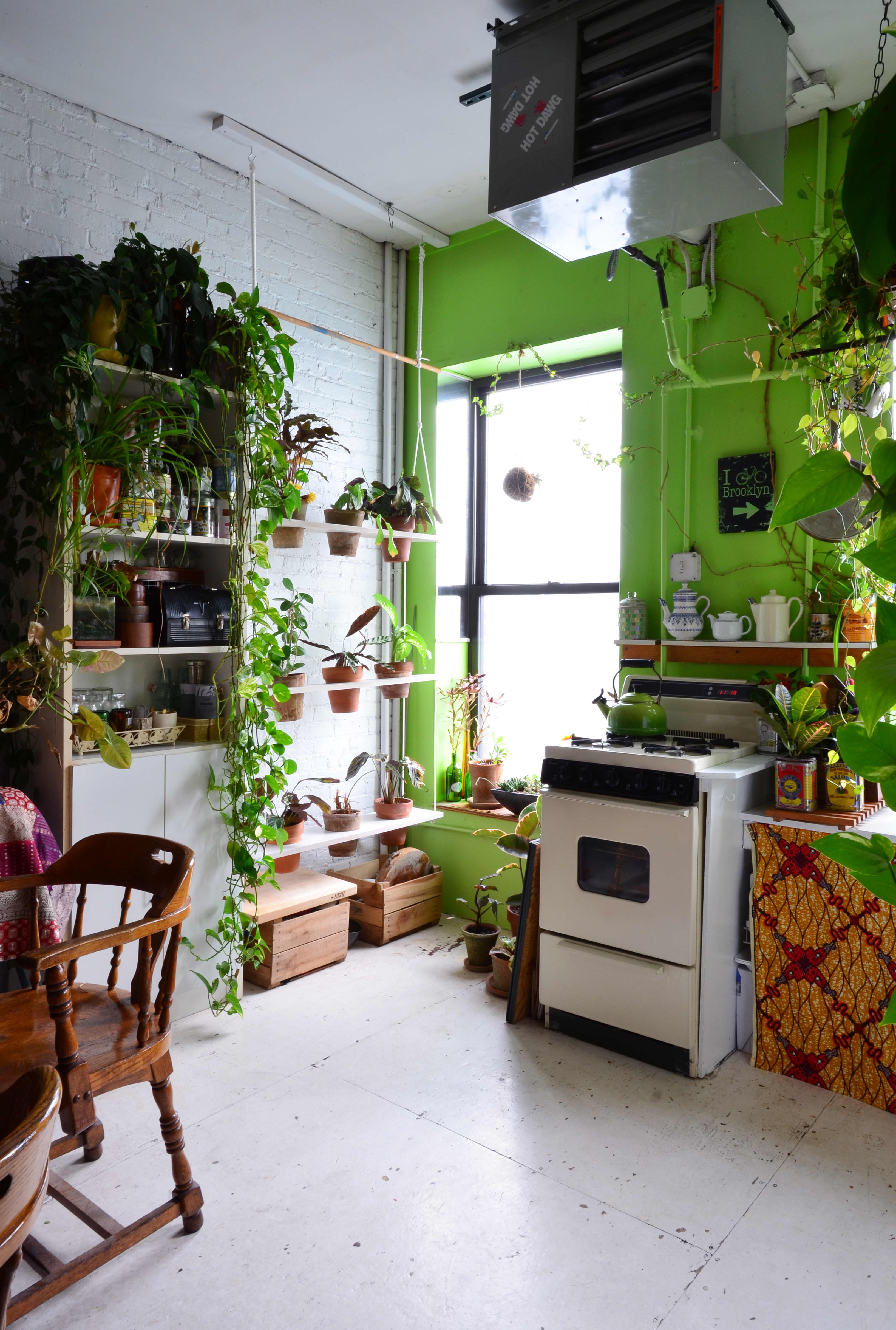 House Tour: An Indoor Jungle Grows in Brooklyn | Apartment Therapy