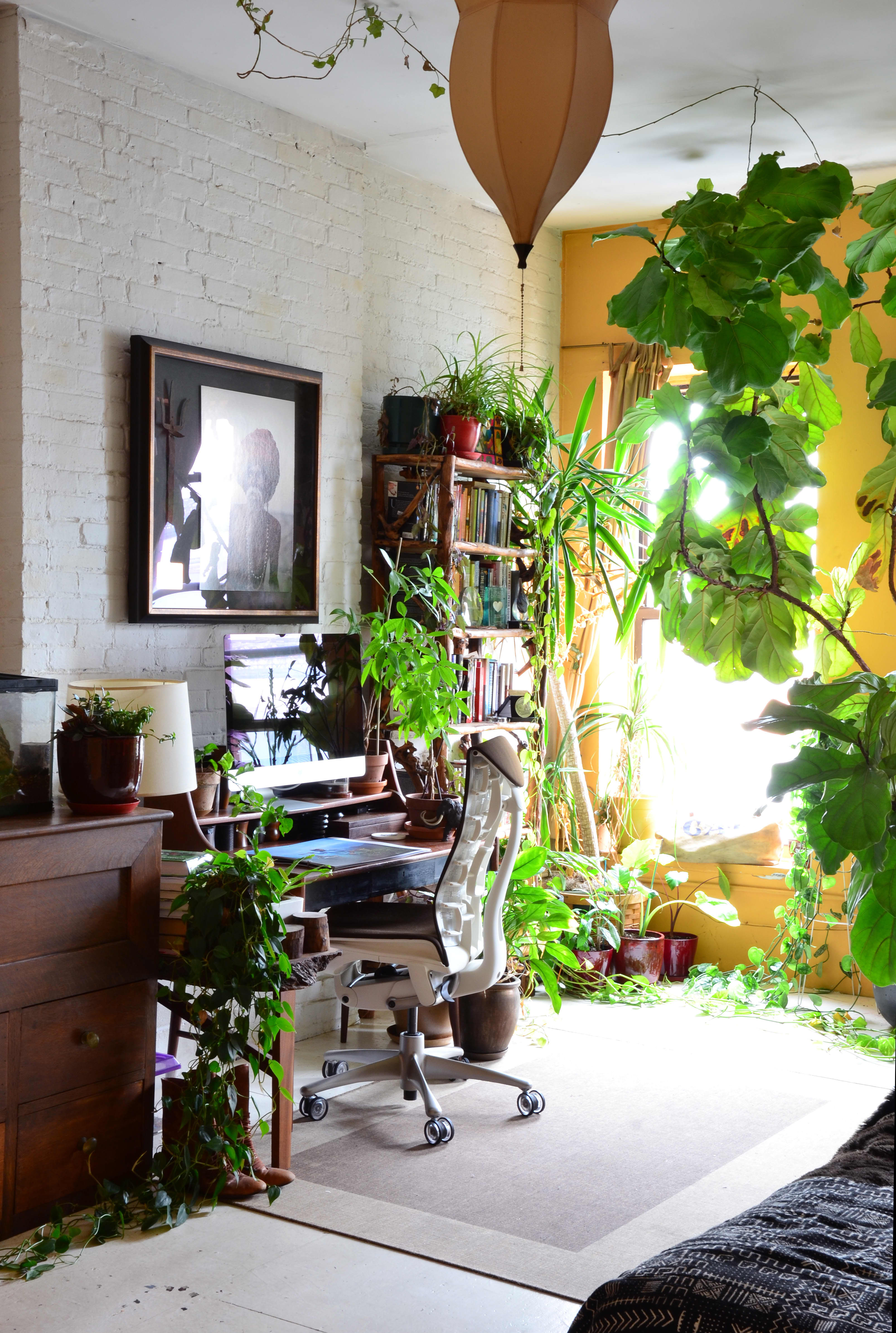 Small Apartment Jungle: Transform Your Home into a Green Oasis