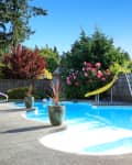 Backyard pool with a yellow slide, surrounded by potted plants and a wooden fence, under a clear blue sky.