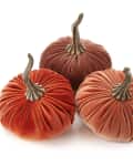 Three velvet pumpkins in shades of orange and brown with realistic stems.