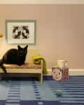 Black cat on a small wooden sofa with a yellow blanket, next to a yellow lamp, books, and a mug on a patterned box.