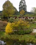 Hobbit-style house with round doors set in a grassy hillside, surrounded by autumn trees and a small pond.