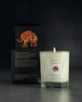 Lit gardenia tuberose candle in glass jar with colorful elephant design, next to matching black box on dark surface.