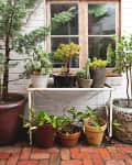 Potted plants on a white metal table against a brick wall with a window.