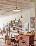 Spacious loft with vintage furniture, large windows, plants, and pendant lighting.