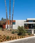 Modern house with flat roof, large windows, wood accents, and landscaped front yard with tall palm trees.