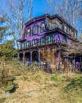 Victorian-style purple house with green shutters surrounded by bare trees and shrubs.
