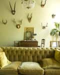 Velvet tufted sofa in living room with antler wall decor, chandelier, and vintage desk with framed art.