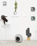 Two cats on modern white wall-mounted platforms with framed art and a cactus decor.