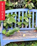 Blue wooden bench with overgrown leaves and a blue watering can in a garden setting.