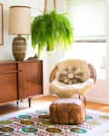 Cozy living room with a wicker chair, sheepskin throw, hanging fern, wooden lamp, and colorful patterned rug.