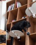 Black cat playing with a hanging toy on a wooden shelf and table.