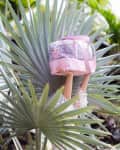 Hands holding a pink and white patterned bag above large tropical leaves.