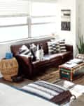 Living room with brown leather sofa, patterned pillows, small dog, TV, and a green trunk as a coffee table.