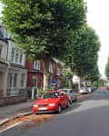 Tree-lined residential street with parked cars and red brick houses.