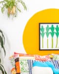 Colorful living room with large green plant, vibrant pillows, and framed leaf artwork on a wall with a yellow circle.