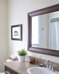 Bathroom with a framed mirror, potted plant, and tree silhouette on window shade.