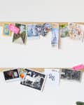 Two wooden photo display bars with postcards and photos, next to a large green plant.
