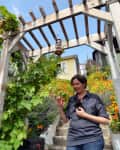 Man and woman tending grapevines on a wooden garden arbor, surrounded by lush greenery and colorful flowers.
