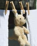 Stuffed animal kangaroo hanging on a clothesline between white towels with clothespins.