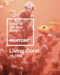 Pantone Color of the Year 2019, Living Coral 16-1546, with coral reef and fish.
